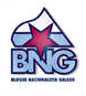 logo_BNG.gif (4896 bytes)